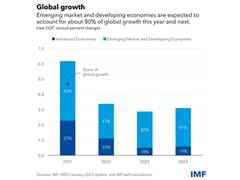 
      
      India's strong performance remains a bright spot: IMF chief
      
      