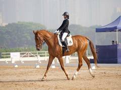 
      
      Nat'l Equestrian C'ship day 1: Team EIRC/ARC, Navyashree on top
      
      
