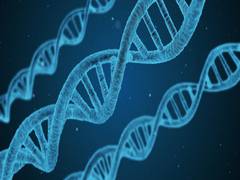 
      
      Researchers locate where toxins from tobacco attack DNA
      
      