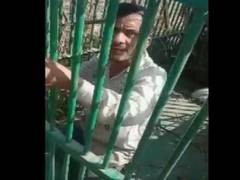
      
      UP Man falls for bait to get himself trapped in leopard cage
      
      
