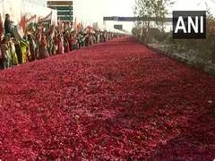 
      
      Flower petals laid on street to welcome Priyanka Gandhi in Raipur
      
      