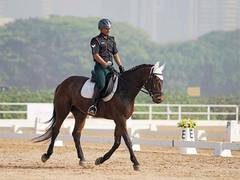 
      
      Nat'l C'ship: Equestrians qualify for next round of Dressage
      
      