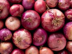 
      
      India exported onions worth USD 523.8 million in Apr-Dec 2022
      
      