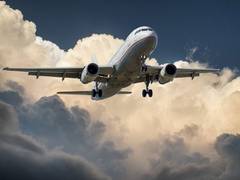 
      
      Odisha: Air Asia flight suffers bird-hit, makes emergency landing
      
      