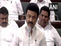 
      
      TN Govt, people will always protect our migrant brothers: Stalin
      
      