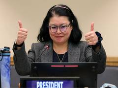 
      
      UN agrees high seas treaty to protect ocean life
      
      