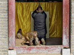 
      
      China: Henan forces people to register on 'Smart Religion' app
      
      