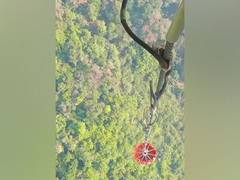
      
      Goa forest fire: No major losses to flora, fauna diversity
      
      
