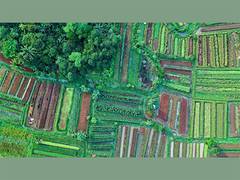 
      
      Curio to raise Rs 200 Cr in India's First Land Opportunity
      
      