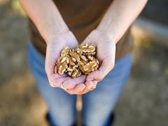 
      
      Why walnuts can be your go-to for your daily quota of plant-based
      
      