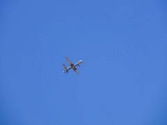 
      
      US drone violates boundaries of airspace regime: Russian Defence 
      
      