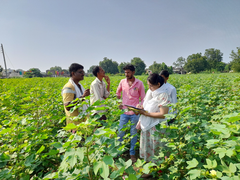 
      
      KhetiBuddy helps Krishi Vigyan Kendra digitize farming operations
      
      