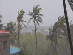 
      
      Cyclone Freddy kills over 300 people in Southeastern Africa
      
      