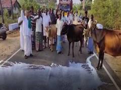 
      
      Erode: Daity farmers throw milk to increase procurement prices
      
      