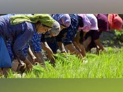 
      
      J-K farmers happy with 29 projects of agriculture department
      
      