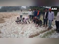 
      
      Rain, hail lash Uttar Pradesh districts, CM Yogi takes stock
      
      