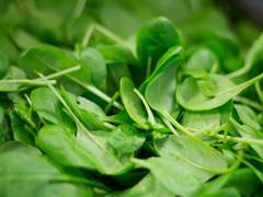 
      
      Vitamin-A diet might lower risks of pancreatitis
      
      