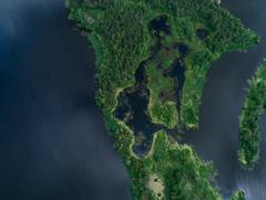 
    Activity deep in Earth affects the global magnetic field
    
