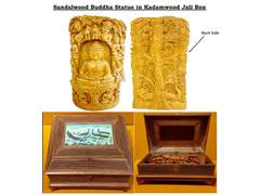 
      
      PM Modi gifts Sandalwood Buddha statue to Japan PM Kishida
      
      