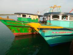 
      
      Sri Lankan Navy apprehends 12 Tamil Nadu fishermen 
      
      
