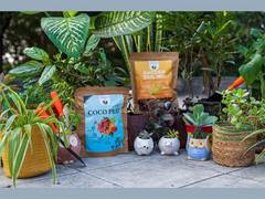 
      
      Gardengram expands to support local nurseries and gardening
      
      