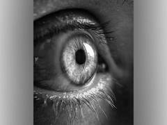 
      
      Nanoparticle may have impact on people getting corneal transplant
      
      