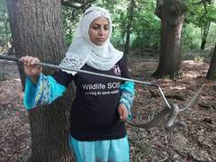
      
      Alia Mir receives Wildlife Conservation Award
      
      