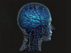 
      
      AI can predict genetics of cancerous brain tumors: Study
      
      
