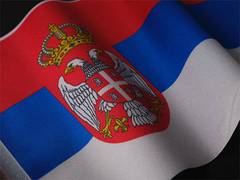 
      
      Outrage in Serbia after Chinese firm destroys war monument
      
      