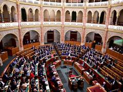 
      
      Hungarian parliament ratifies Finland's NATO membership bid
      
      