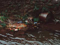 
      
      Market value of treated wastewater to more than double by 2050
      
      