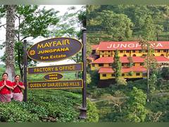
      
      Mayfair Hotels & Resorts acquires historic Jungpana Tea Garden
      
      