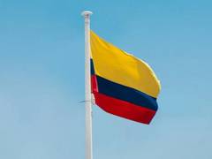 
    Colombia: Nine soldiers killed in ELN attack on army base 
    