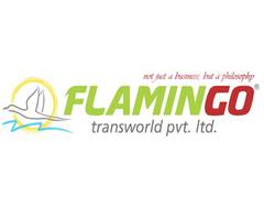 
      
      Flamingo Transworld takes user experience to new heights 
      
      