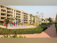 
      
      Real Estate Sector witness strong growth potential
      
      