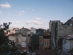 
      
      FAO's initial assessment of Turkey earthquakes 
      
      