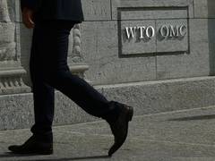 
      
      WTO to examine trade contribution to greener, sustainable future
      
      