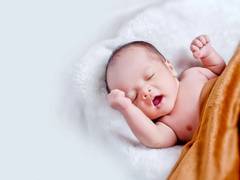 
      
      K'taka: Dog spotted carrying dead baby girl in Shivamogga
      
      