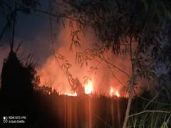 
      
      Kerala: Major fire breaks out on Cochin Port Authority land, dous
      
      