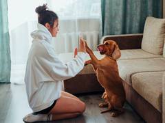 
      
      Young dog owners tend to cope better when their pup misbehaves
      
      