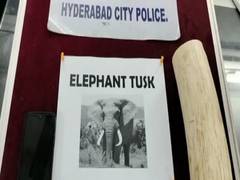 
      
      One held for trying to sell elephant tusk illegally in Hyderabad
      
      