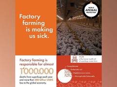 
      
      Rising Superbug Threat from Factory Farming: Study 
      
      