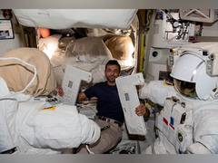 
      
      Sultan Alneyadi set to make history as astronaut 
      
      