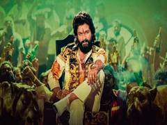 
      
      Allu Arjun is back to rule with 'Pushpa 2', check out video
      
      