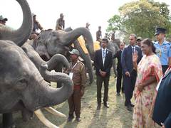 
      
      President Murmu inaugurates Gaj Utsav at Kaziranga
      
      