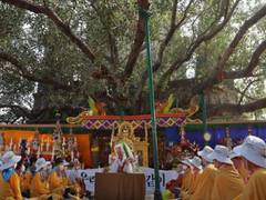 
      
      Korean social activist leads followers on pilgrimage to India
      
      
