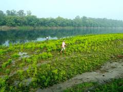 
      
      UP delegation visits Delhi to get insight into projects execution
      
      