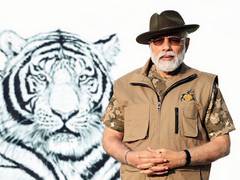 
      
      Congress questions BJP govt's contribution to tiger conservation
      
      