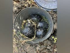 
      
      Police recover 10 bombs at Metro Vihar Chowki
      
      