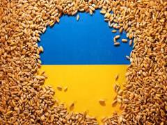
      
      Poland to 'temporarily' prohibit food imports from Ukraine
      
      
